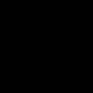 Meet your Posher, Atley